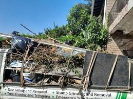 Best Furniture Removal  in Ball Pond, CT